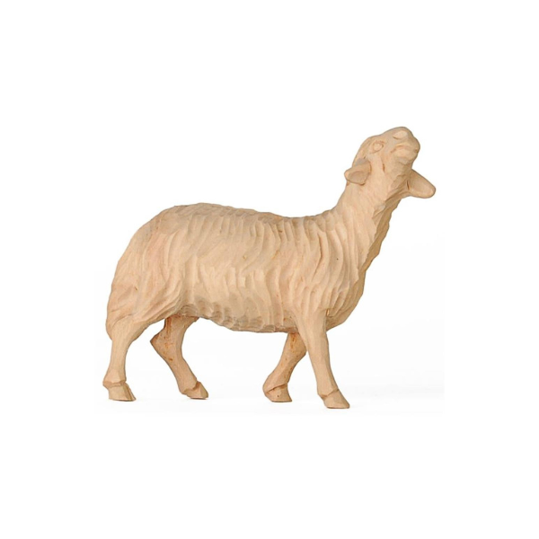 ZirbenKrippe_handgeschnitzt_Schaf