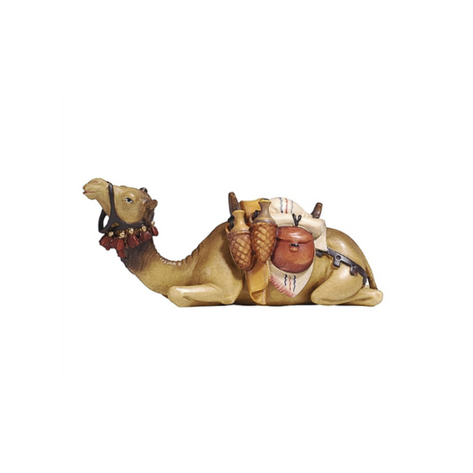 Camel lying Rainell