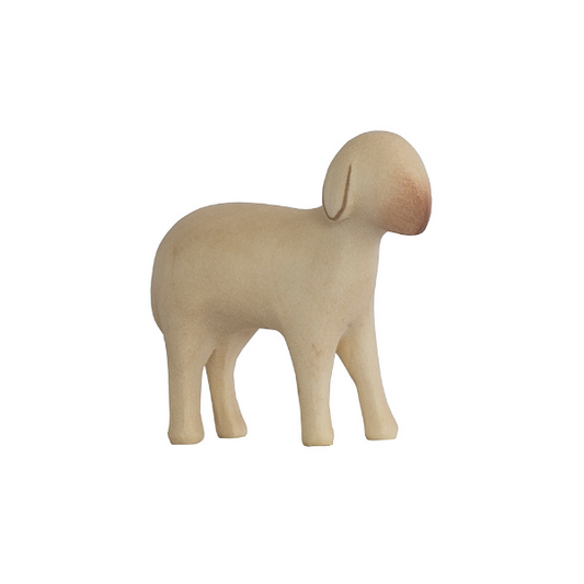 Aramkrippe_color_Schaf stehend