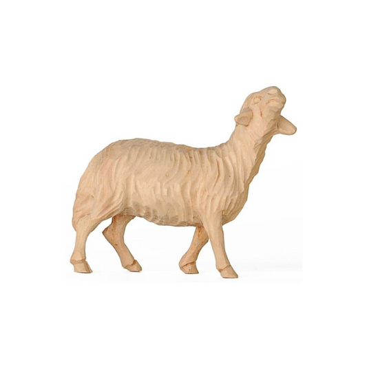 ZirbenKrippe_handgeschnitzt_Schaf